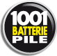 1001 Batterie Pile